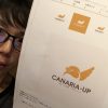 CANARI-UP「カナリアップ」のロゴできた!一つのブランドを作り上げることと、その速度